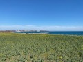 Продава ПАРЦЕЛ, гр. Поморие, област Бургас, снимка 2