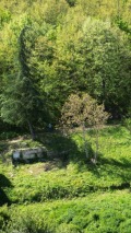 Продава ПАРЦЕЛ, с. Янковци, област Габрово, снимка 2