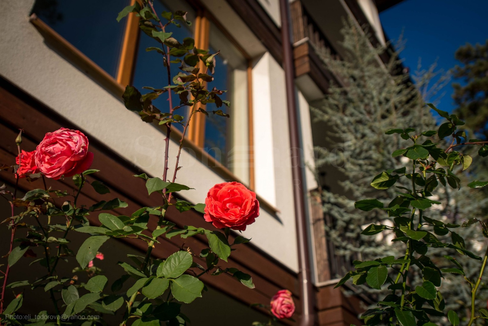 ������� 2-����� | Imot.bg � ����������� 7