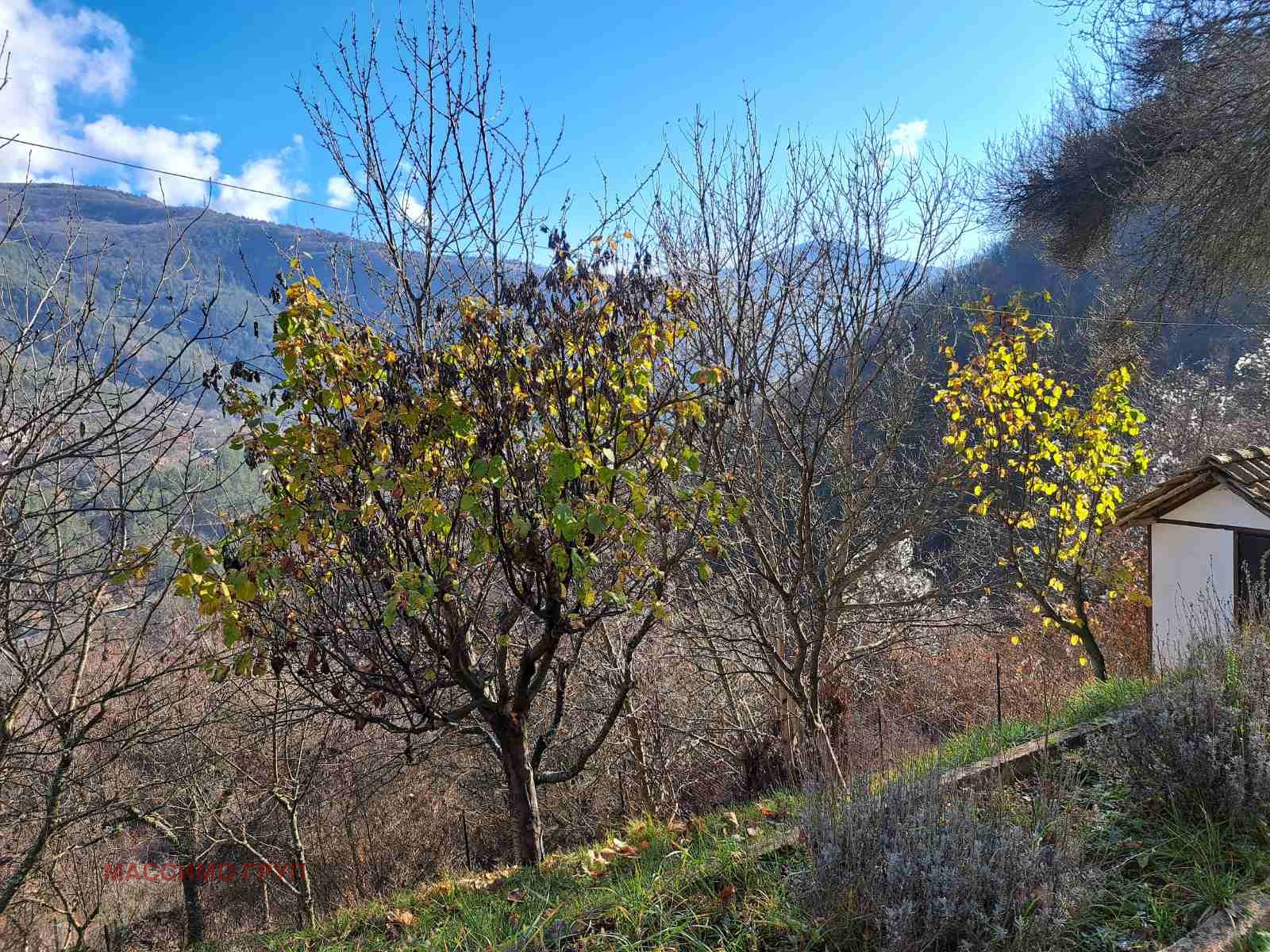 ������� ���� | Imot.bg � ����������� 16