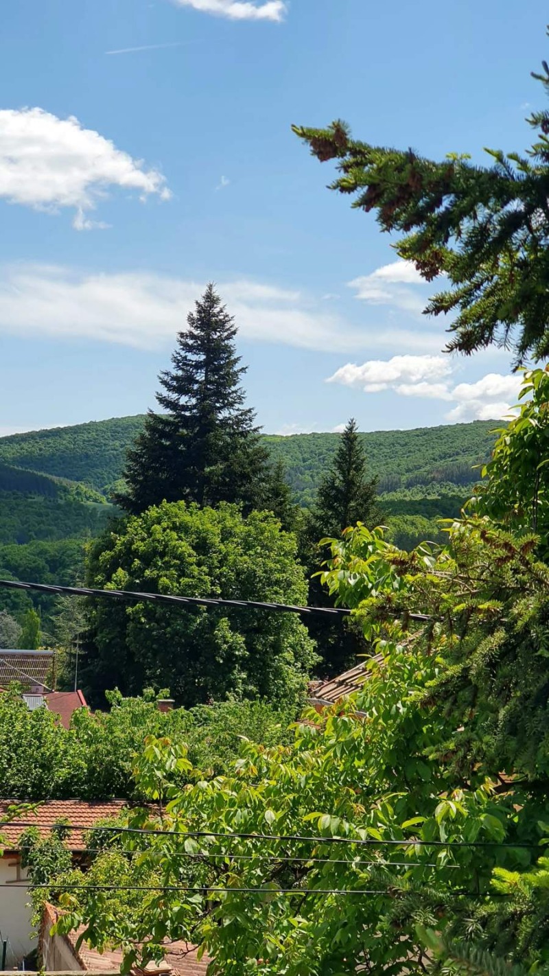 For Sale  House region Stara Zagora  , Starozagorski bani , 145 sq.m | 17056354 - image [6]