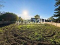 Продава КЪЩА, с. Безводица, област Добрич, снимка 7