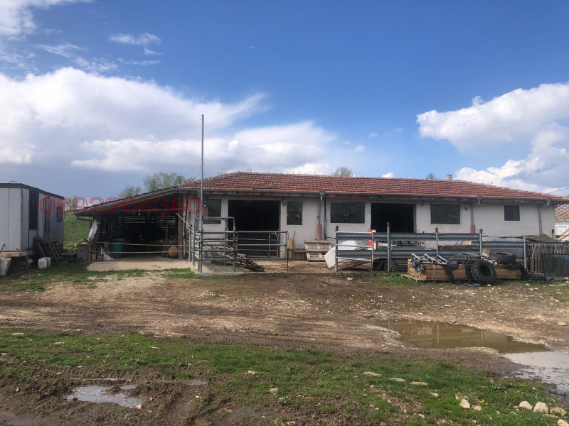 Продава ПРОМ. ПОМЕЩЕНИЕ в област Пазарджик, с. Жребичко - 200 кв.м / 52 000 € » 101 703.16 лв.