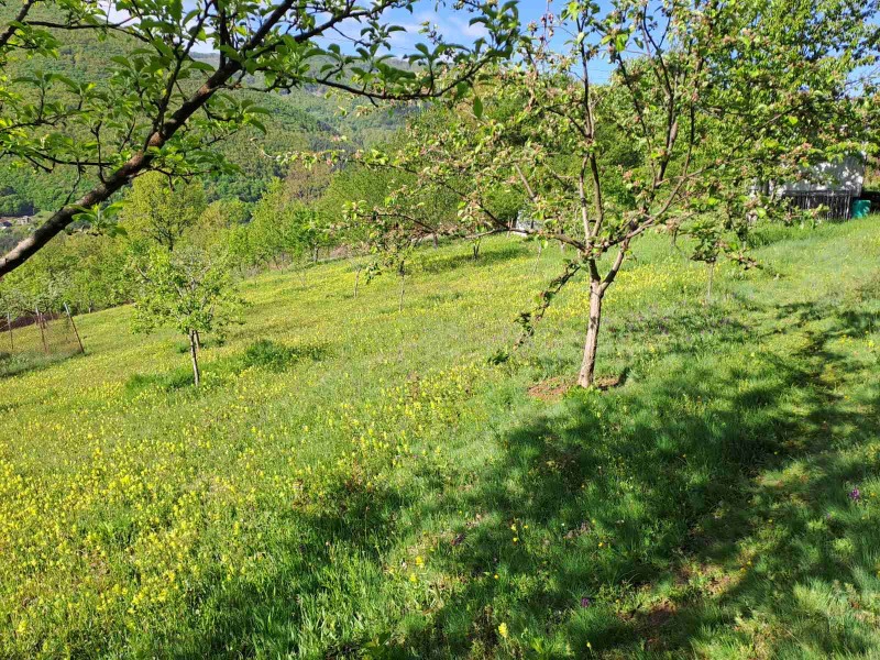 For Sale  Plot region Sofia , Svoge , 2000 sq.m | 85878662 - image [5]