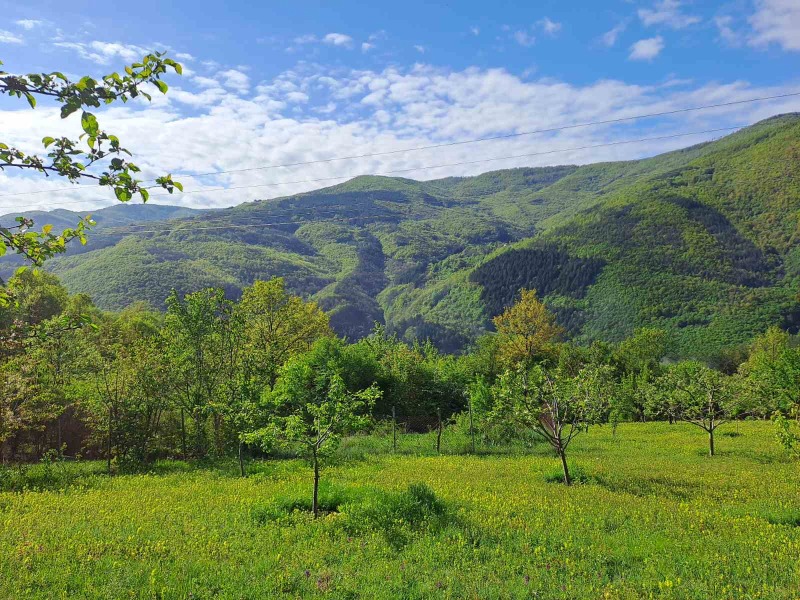 À venda  Trama região Sófia , Svoge , 2000 m² | 85878662 - imagem [3]