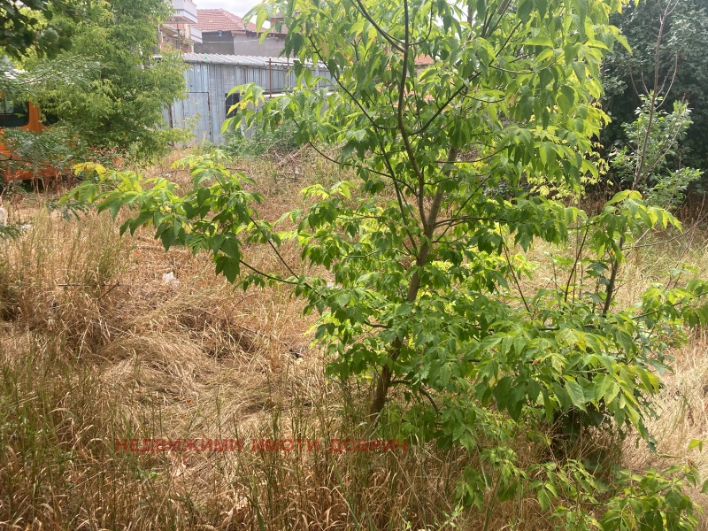 Продава  Парцел град Добрич , Христо Ботев , 372 кв.м | 41484636