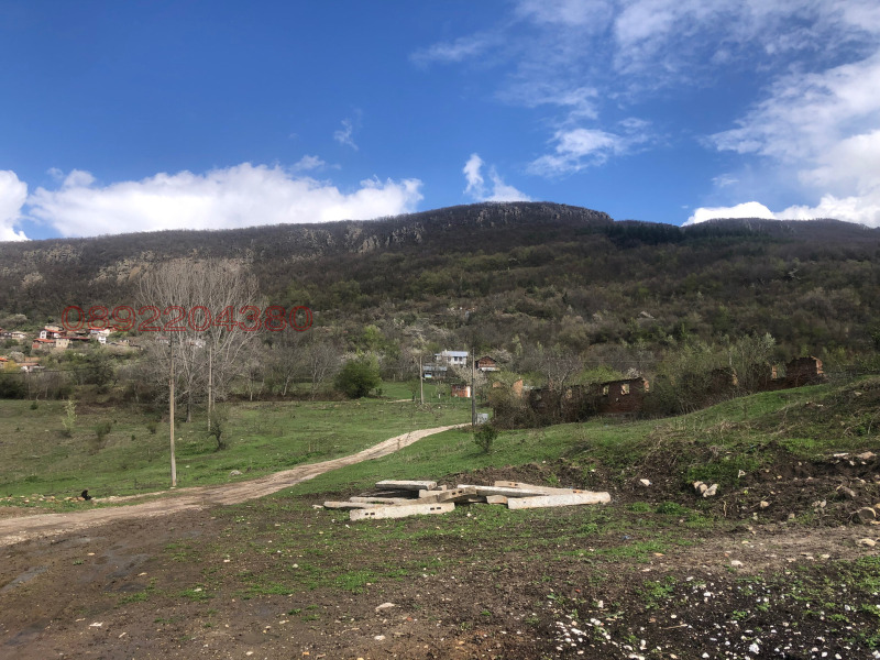 Продава БИЗНЕС ИМОТ, с. Жребичко, област Пазарджик, снимка 3 - Други - 52785521