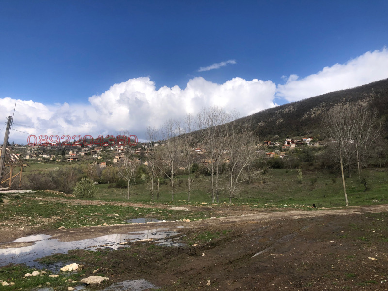 Продава БИЗНЕС ИМОТ, с. Жребичко, област Пазарджик, снимка 2 - Други - 52785521