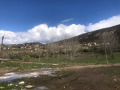 Продава ПРОМ. ПОМЕЩЕНИЕ, с. Жребичко, област Пазарджик, снимка 2