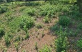 Продава КЪЩА, област Пловдив, с. Марково • 129000 € • 49343888 — Holmes.bg