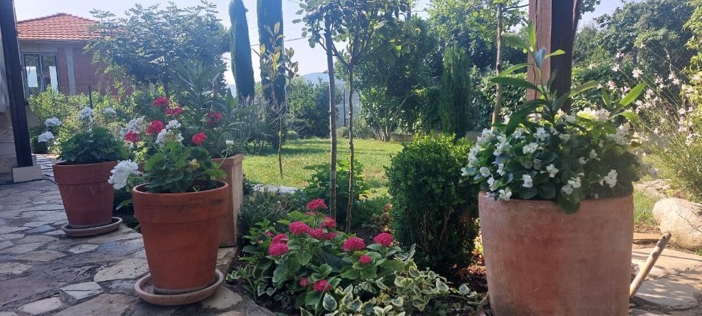 ������� ���� | Imot.bg � ����������� 14