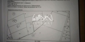 ����� ������� ������,�. �������, ������ �����