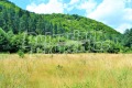 Продава ПАРЦЕЛ, област София, с. Бели Искър • 536235 € • 23266413 — Holmes.bg