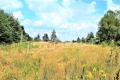 Продава ПАРЦЕЛ, област София, с. Бели Искър • 536235 € • 23266413 — Holmes.bg