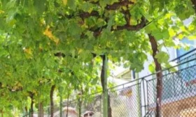 ������� ���� | Imot.bg � ����� ������ 4