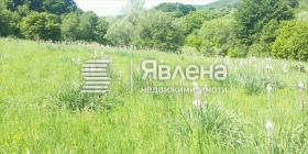 Juoni Sušina, Shumenin alue