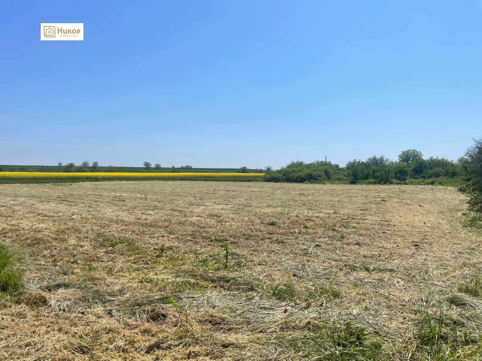 Продава ПАРЦЕЛ, с. Диня, област Стара Загора, снимка 3 - Парцели - 54621064