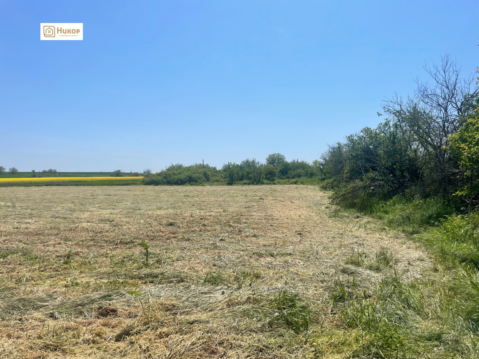 Продава ПАРЦЕЛ, с. Диня, област Стара Загора, снимка 2 - Парцели - 54621064