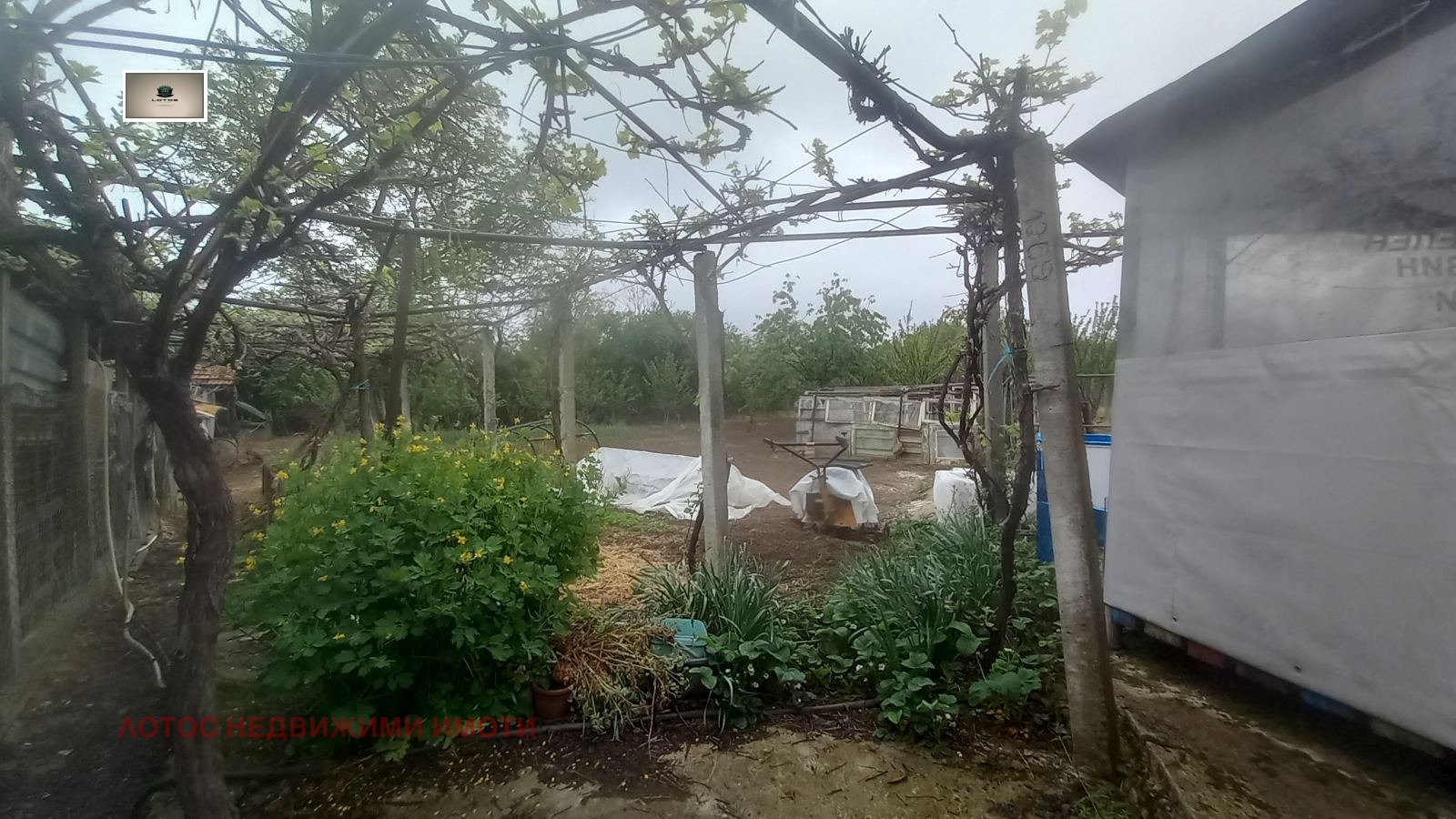 Продава КЪЩА, с. Сушица, област Велико Търново