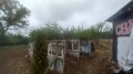 Продава КЪЩА, с. Сушица, област Велико Търново, снимка 4