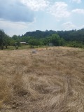 Продава ПАРЦЕЛ, с. Долистово, област Кюстендил, снимка 2