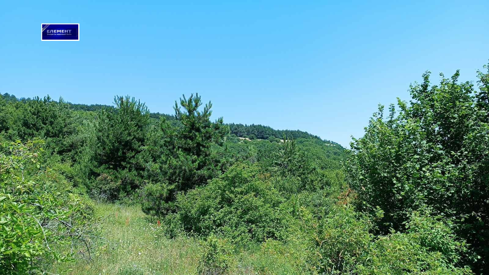 Продава ПАРЦЕЛ | Imot.bg — изображение 5