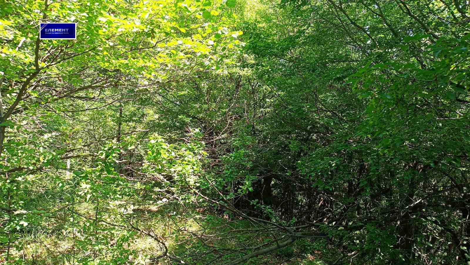 Продава ПАРЦЕЛ | Imot.bg — изображение 7