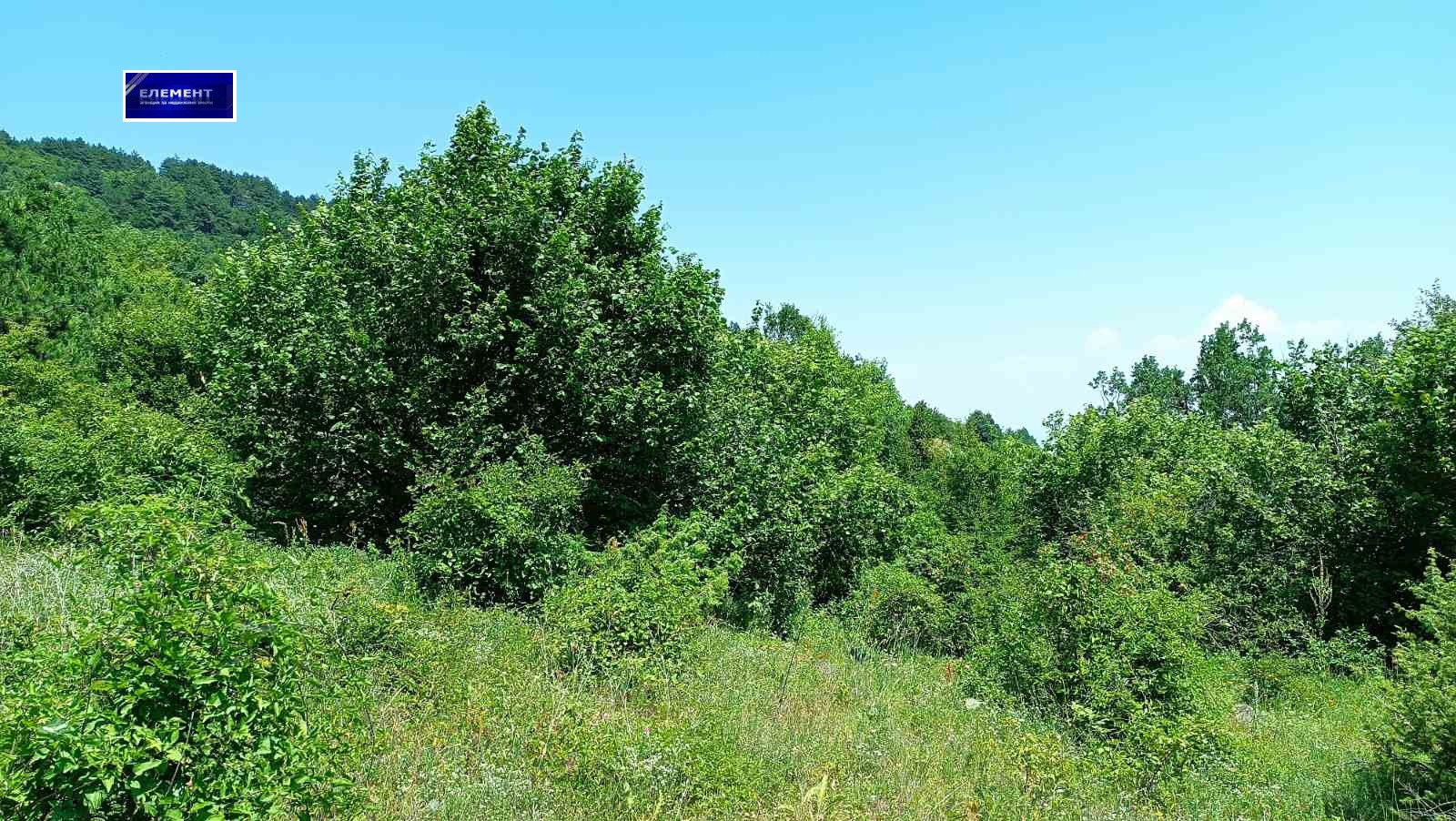 Продава ПАРЦЕЛ | Imot.bg — изображение 9