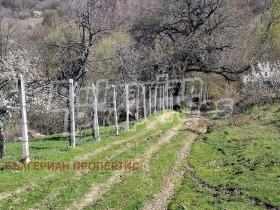 ������� ���� | Imot.bg � ����� ������ 9