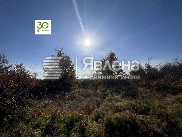 Продава ПАРЦЕЛ, гр. Варна, м-т Боровец - юг, снимка 3 - Парцели - 56169155