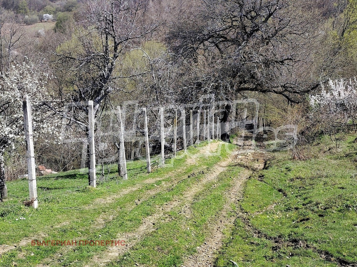 Продава КЪЩА, гр. Тетевен, област Ловеч, снимка 9 - Къщи - 54251589