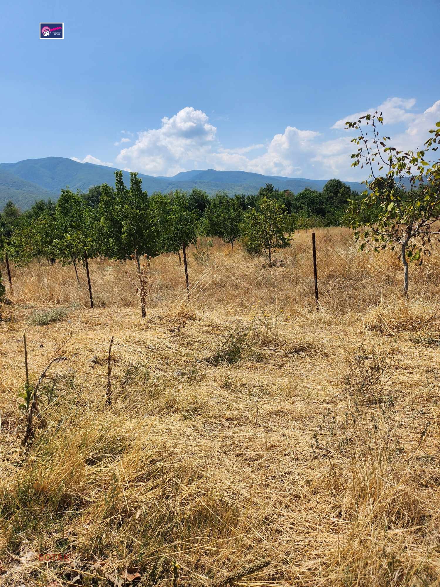 Продава ЗЕМЕДЕЛСКА ЗЕМЯ, с. Варвара, област Пазарджик, снимка 2 - Земеделска земя - 53722629