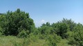 Продава ПАРЦЕЛ, с. Руен, област Пловдив, снимка 5