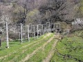 Продава КЪЩА, област Ловеч, гр. Тетевен • 60000 € / 117349.80 лв. • 87449559 9