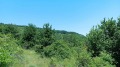 Продава ПАРЦЕЛ, област Пловдив, с. Руен • 90774 € • 87744510 — Holmes.bg