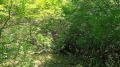 Продава ПАРЦЕЛ, област Пловдив, с. Руен • 90774 € • 87744510 — Holmes.bg