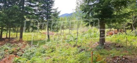 ������� ������ | Imot.bg � ����� ������ 6