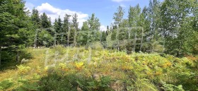 ������� ������ | Imot.bg � ����� ������ 8