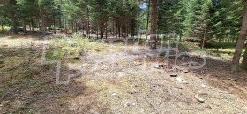 ������� ������ | Imot.bg � ����� ������ 5