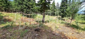 ������� ������ | Imot.bg � ����� ������ 9