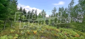 ������� ������ | Imot.bg � ����� ������ 7