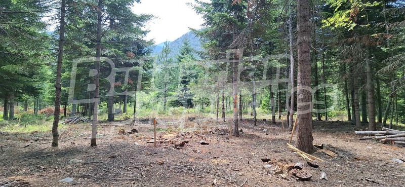 Продава ПАРЦЕЛ, гр. Банско, област Благоевград, снимка 3 - Парцели - 52466568