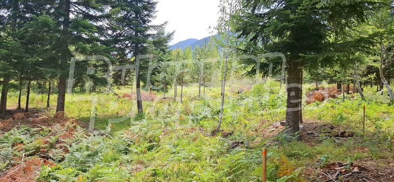 Продава ПАРЦЕЛ, гр. Банско, област Благоевград, снимка 5 - Парцели - 52466568