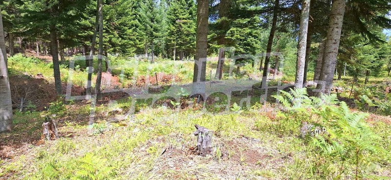 Продава ПАРЦЕЛ, гр. Банско, област Благоевград, снимка 9 - Парцели - 52466568