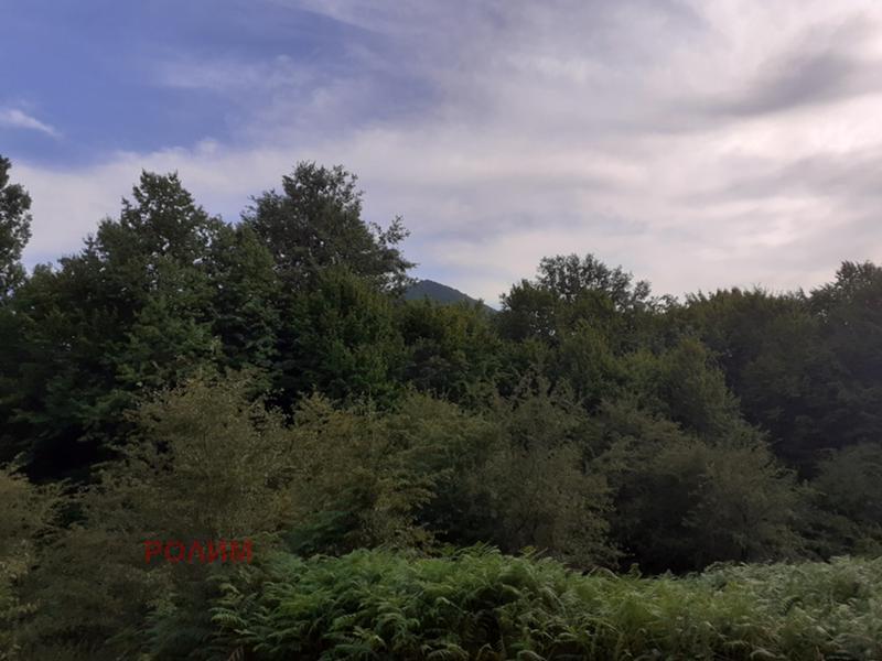 ������� ������ | Imot.bg � ����������� 6