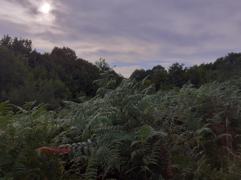 ������� ������ | Imot.bg � ����������� 5