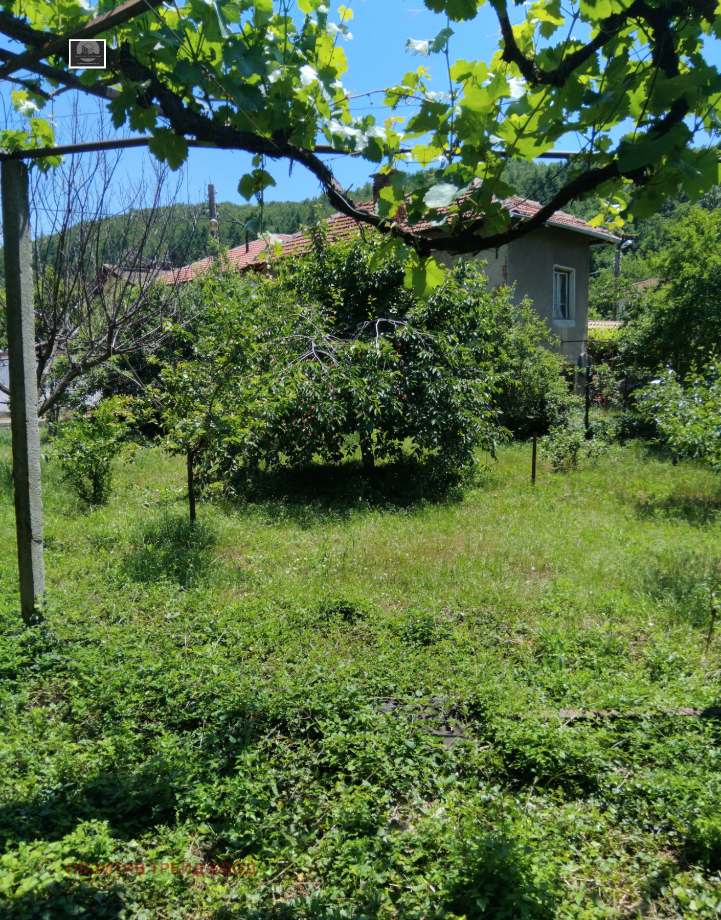 ������� ���� | Imot.bg � ����������� 11