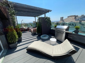 ����� ������� �������,���� �����, ������