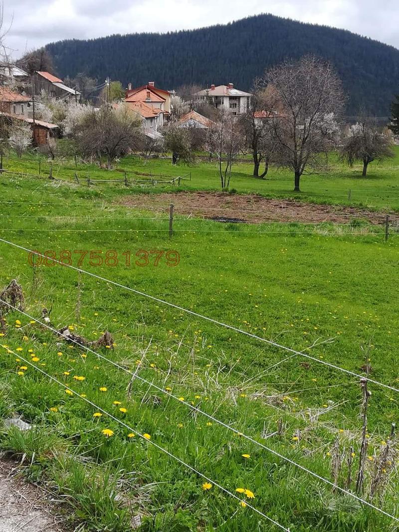 Продава  Парцел област Смолян , с. Гела , 531 кв.м | 57600022 - изображение [2]