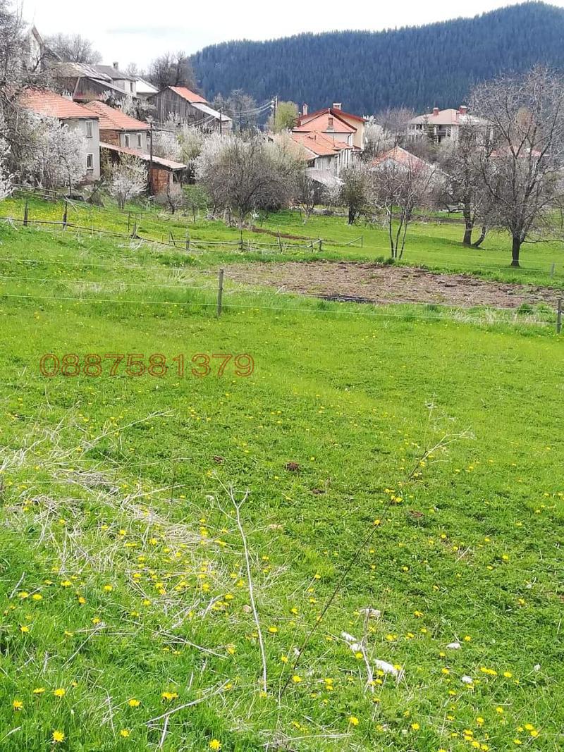 Продава  Парцел област Смолян , с. Гела , 531 кв.м | 57600022 - изображение [3]